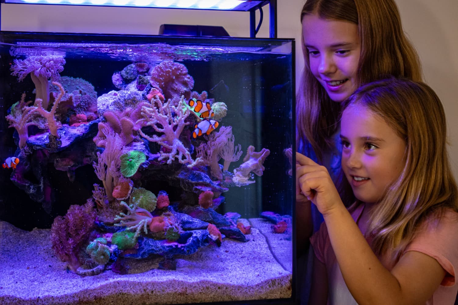 Two kids watching a glowing Living Oceans reef up close